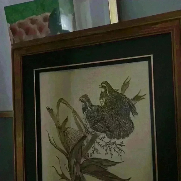 Original Oil Painting. Framed and signed with  plaque.🦤🐦 - Picture 4 of 4